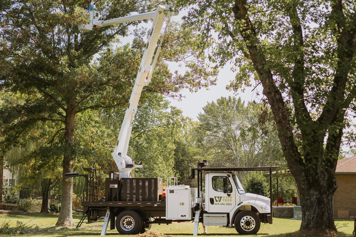 West Tree Service crane truck beside a large tree
