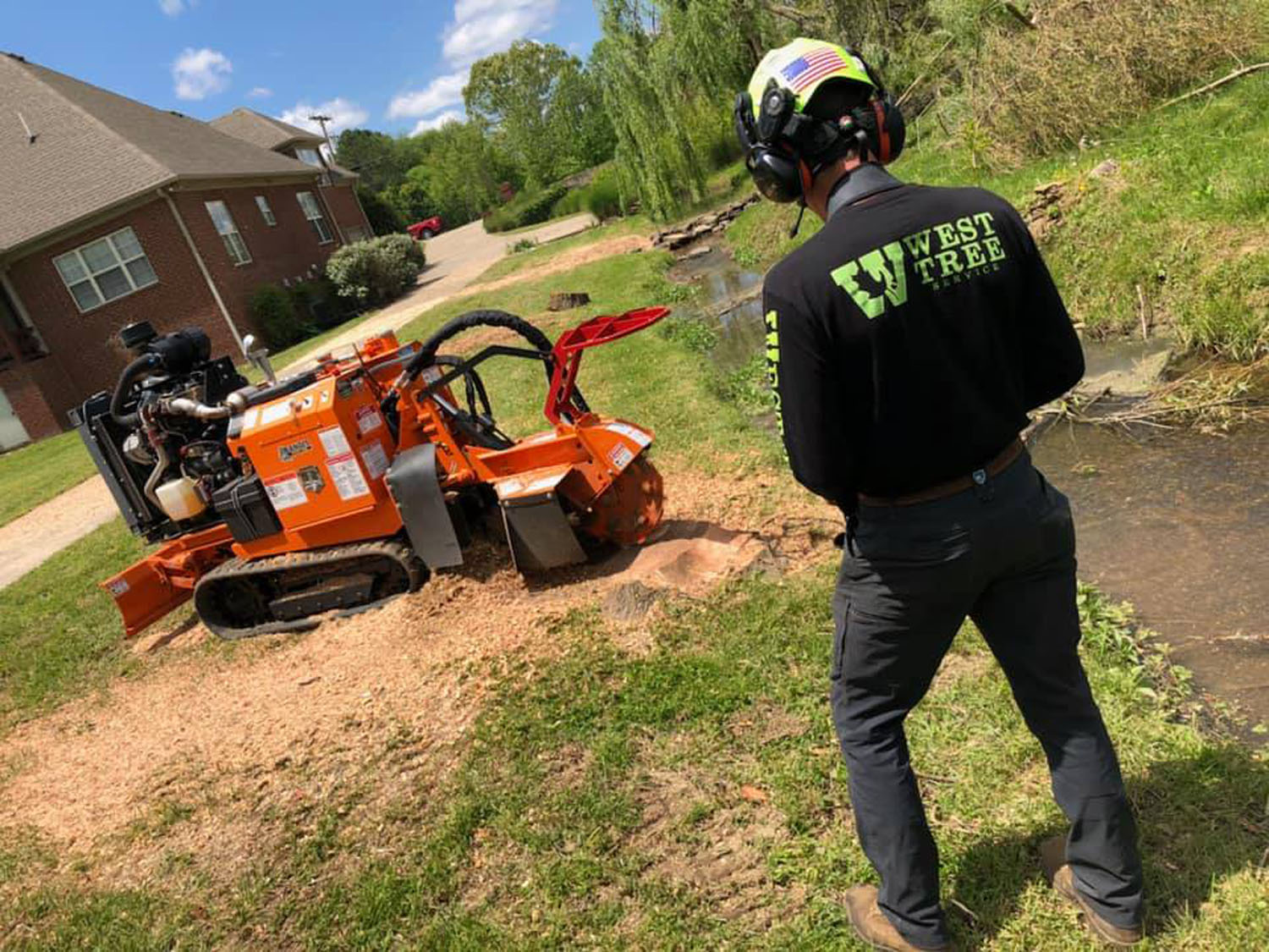 West Tree Service crew working around a stump
