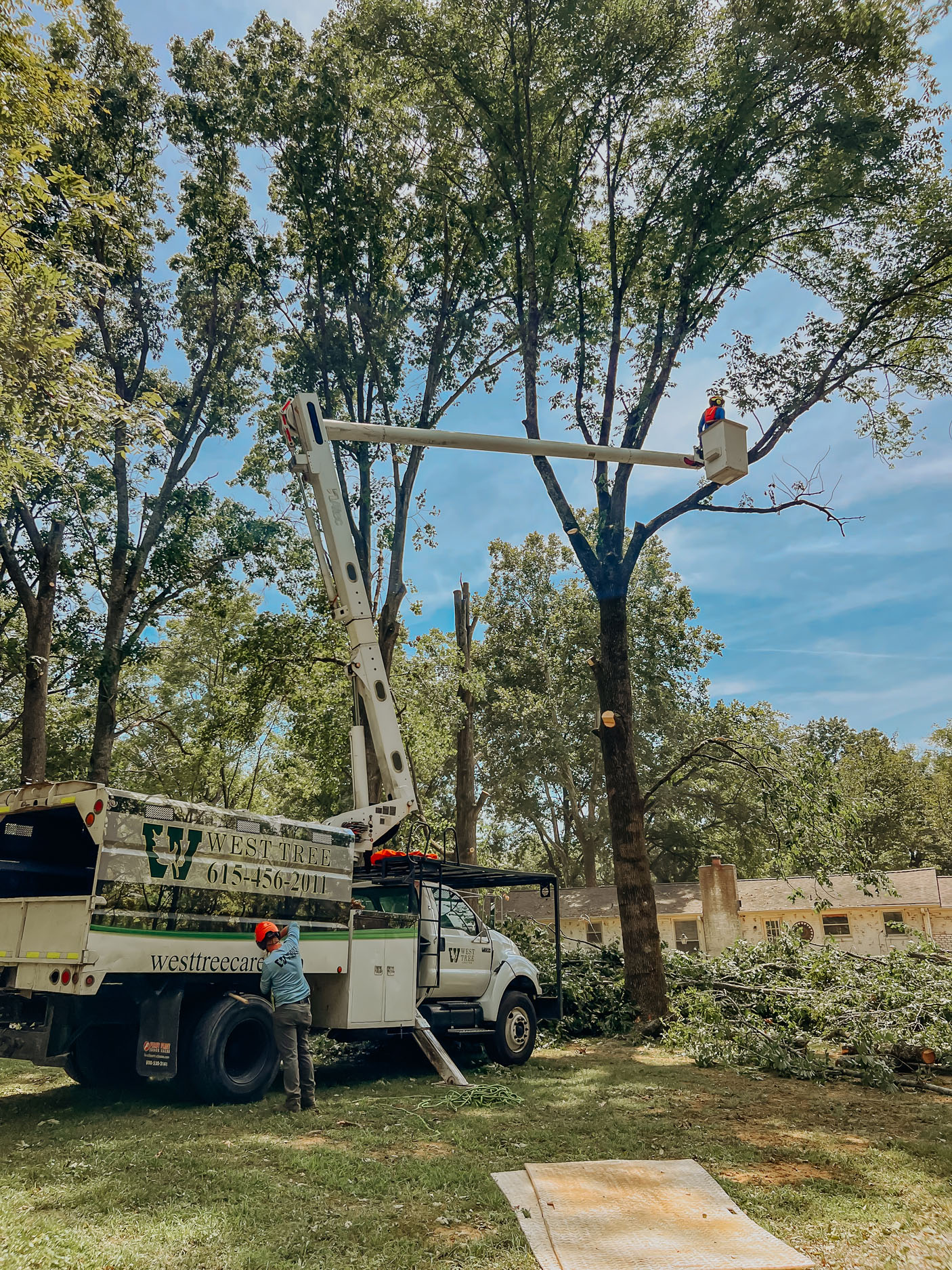 West Tree Service truck and crew performing tree work