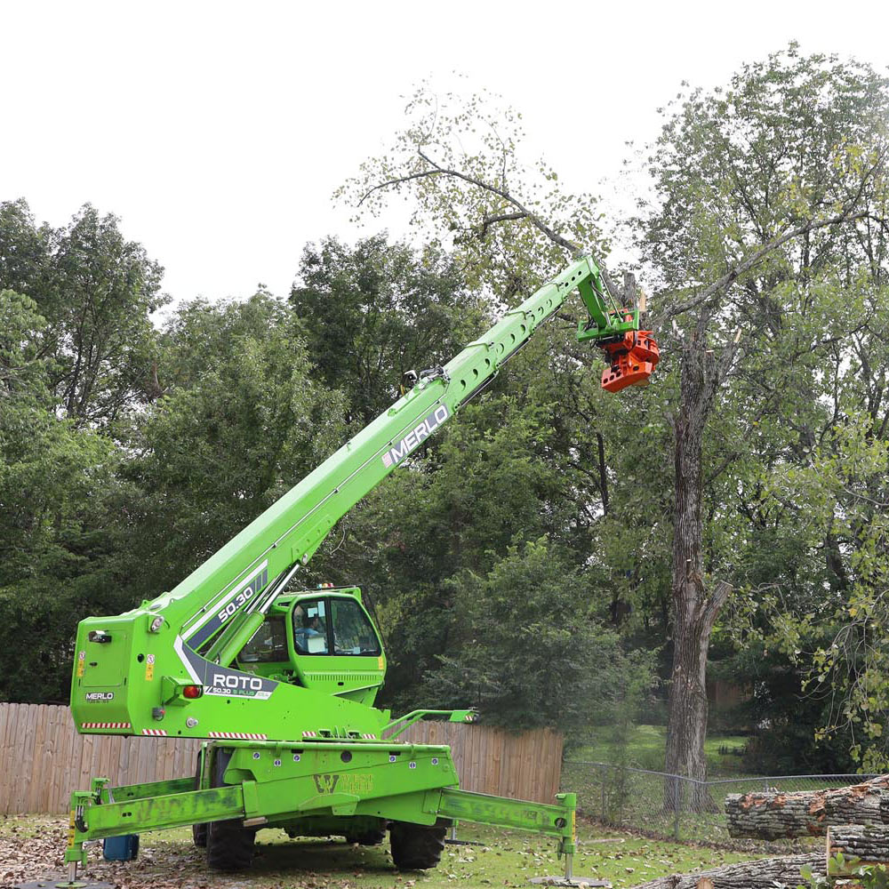 West Tree Service lift working high in a tree