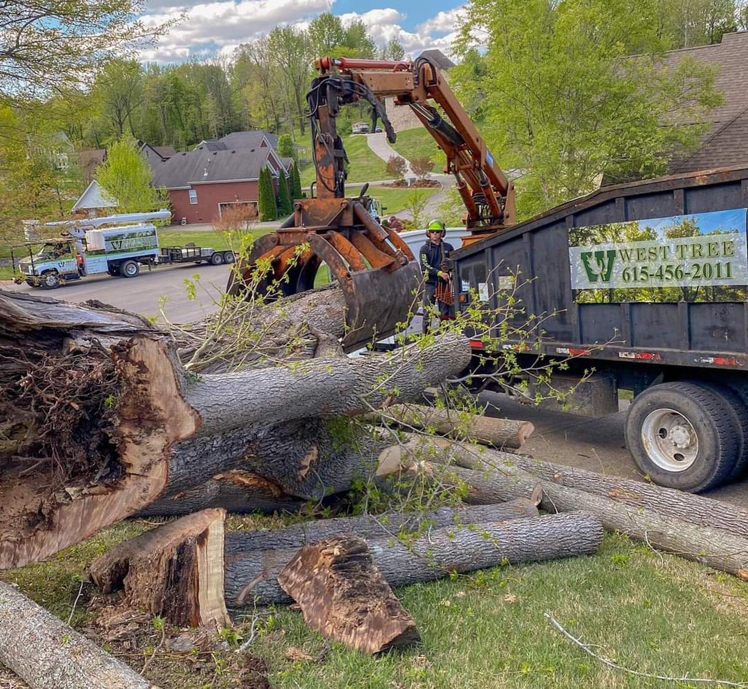 West Tree Service handling a large tree trunk